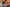 Testing Alt