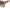 Ochelari de Soare Damă nude Jimmy Choo ELENI-G-S FWM