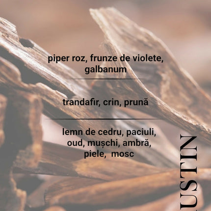 Photoroom_20250428_233521