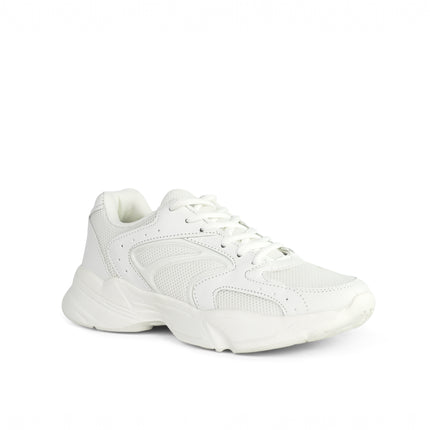 c1b817019bf19374eebd246348a16539