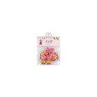 Set 2 clame si 2 elastice fete roz pal Kitty Melon